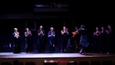 Privado: [ID: 0Ci1wx4a2y8] Youtube Automatic