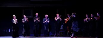 Privado: [ID: 0Ci1wx4a2y8] Youtube Automatic