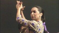 Privado: [ID: 0F4knHQ-K0g] Youtube Automatic