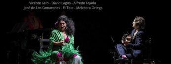 Privado: [ID: 4IDP9tlTp1U] Youtube Automatic