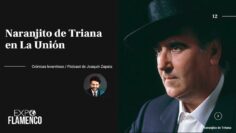 Privado: [ID: 7c2GwiLQQtg] Youtube Automatic