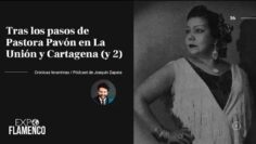 Privado: [ID: awMzYU6l1wI] Youtube Automatic