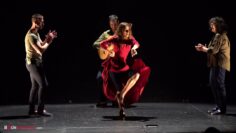 Privado: [ID: BePqc-rGetk] Youtube Automatic