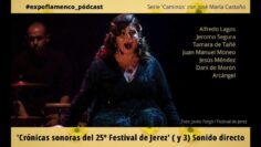 Privado: [ID: Ch9f-XmcABo] Youtube Automatic