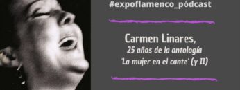 Privado: [ID: cjXT-spAC54] Youtube Automatic