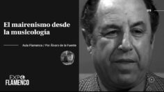 Privado: [ID: diXHjNlG0iA] Youtube Automatic