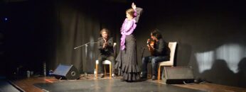 Privado: [ID: e33frRp19G8] Youtube Automatic