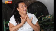 Privado: [ID: EC-38egOoU4] Youtube Automatic