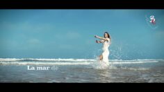 Privado: [ID: EJL484sT39A] Youtube Automatic