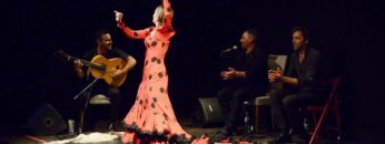 Privado: [ID: GAhBDOLakkw] Youtube Automatic