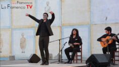 Privado: [ID: jNq7ki79B6k] Youtube Automatic