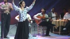 Privado: [ID: MwtCfF1Q_aU] Youtube Automatic