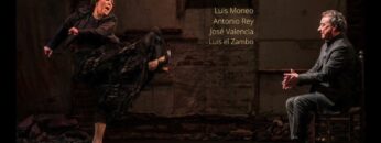 Privado: [ID: N9CekDxUIMU] Youtube Automatic