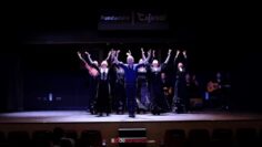 Privado: [ID: xRVYOCiDSQM] Youtube Automatic