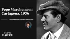 Privado: [ID: 3XWzjGyvMnY] Youtube Automatic