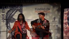 Privado: [ID: 4O59t8YQlO8] Youtube Automatic