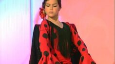 Privado: [ID: -AIM7aDBWks] Youtube Automatic