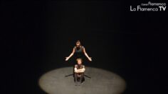 Privado: [ID: cFZmy9Zstx8] Youtube Automatic