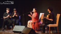 Privado: [ID: FZf2rUb7ZBc] Youtube Automatic