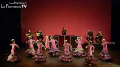 Privado: [ID: gcAE6HpJ57A] Youtube Automatic