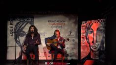 Privado: [ID: h_G2SzuApWQ] Youtube Automatic