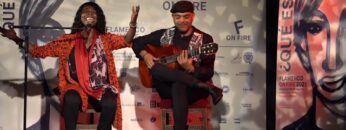 Privado: [ID: jkQduFkTSX0] Youtube Automatic