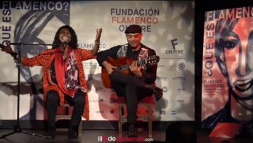 Privado: [ID: jkQduFkTSX0] Youtube Automatic