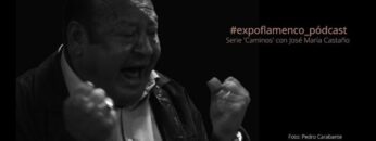 Privado: [ID: kZ2L4AE3h8c] Youtube Automatic