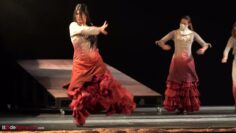 Privado: [ID: O5FZEkgAEvM] Youtube Automatic