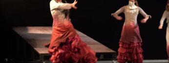 Privado: [ID: O5FZEkgAEvM] Youtube Automatic