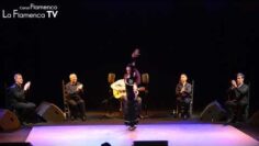 Privado: [ID: pghKViatQ3g] Youtube Automatic