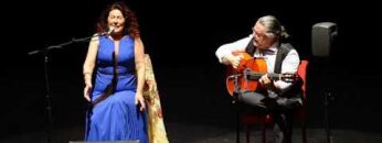 Privado: [ID: SLnCyZQOF68] Youtube Automatic