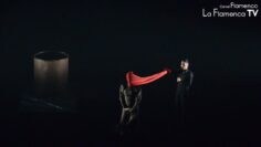 Privado: [ID: xaAjBl2DnQo] Youtube Automatic