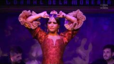 Privado: [ID: Xxt9bhU4s74] Youtube Automatic