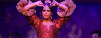 Privado: [ID: Xxt9bhU4s74] Youtube Automatic