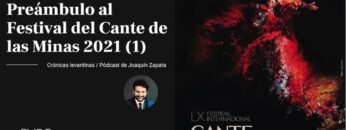 Privado: [ID: b9q8w-WmwEM] Youtube Automatic