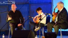 Privado: [ID: NGN2vzuoaNw] Youtube Automatic