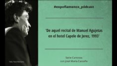 Privado: [ID: nLehRDi1qbk] Youtube Automatic