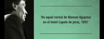 Privado: [ID: nLehRDi1qbk] Youtube Automatic