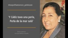 Privado: [ID: -oGSnwU5sYI] Youtube Automatic