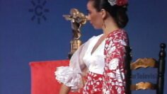 Privado: [ID: R6XktwpEb6c] Youtube Automatic