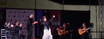 Privado: [ID: -RiAJiqjuWo] Youtube Automatic