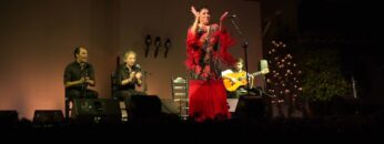 Privado: [ID: sDX6bPuoviI] Youtube Automatic