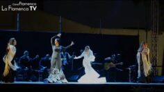 Privado: [ID: TCalWTj0hS4] Youtube Automatic