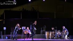 Privado: [ID: Y8uJ9RRu0DQ] Youtube Automatic