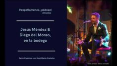 Privado: [ID: 20ahpmPsk7Q] Youtube Automatic