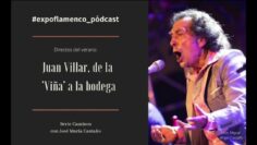 Privado: [ID: 4UE7ClF_pmo] Youtube Automatic