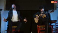 Privado: [ID: 54g0tFr_ieE] Youtube Automatic