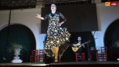 Privado: [ID: 5BdsXDHKohY] Youtube Automatic