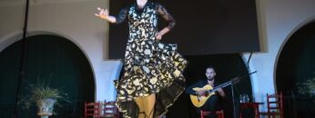 Privado: [ID: 5BdsXDHKohY] Youtube Automatic